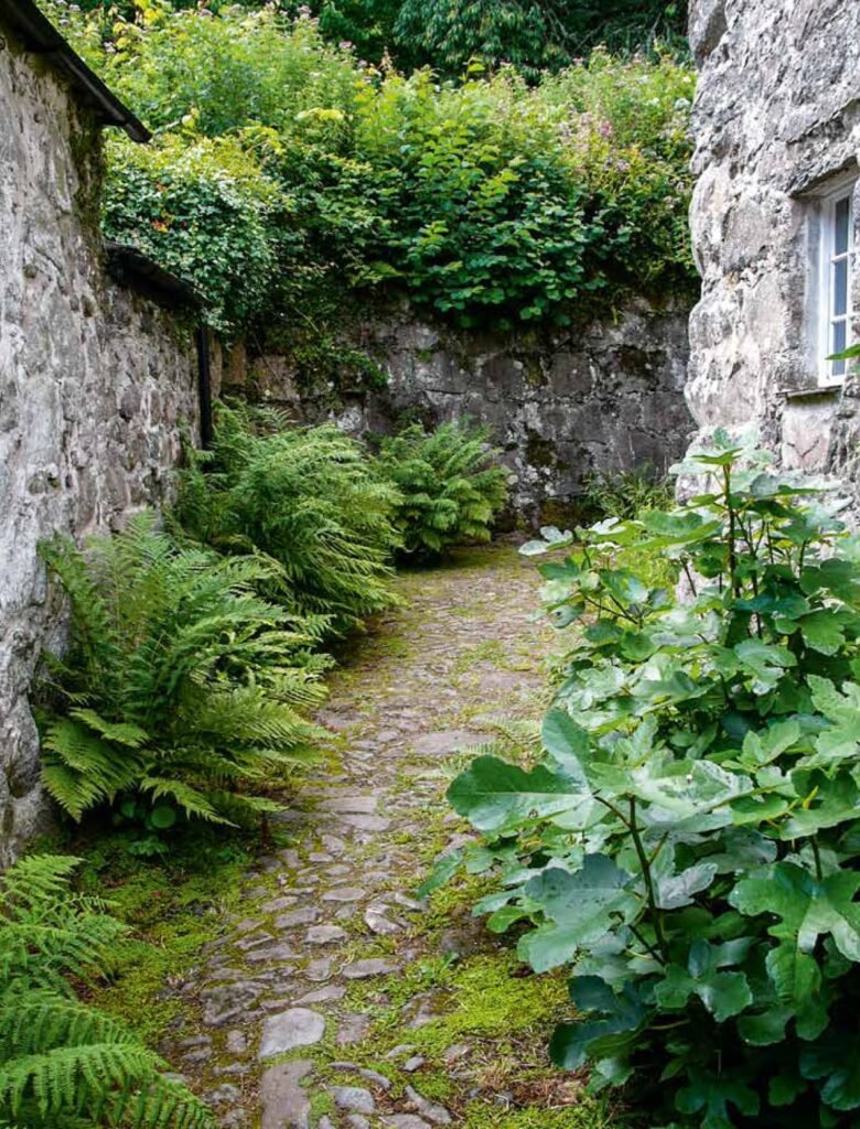 Shade garden with old stone path