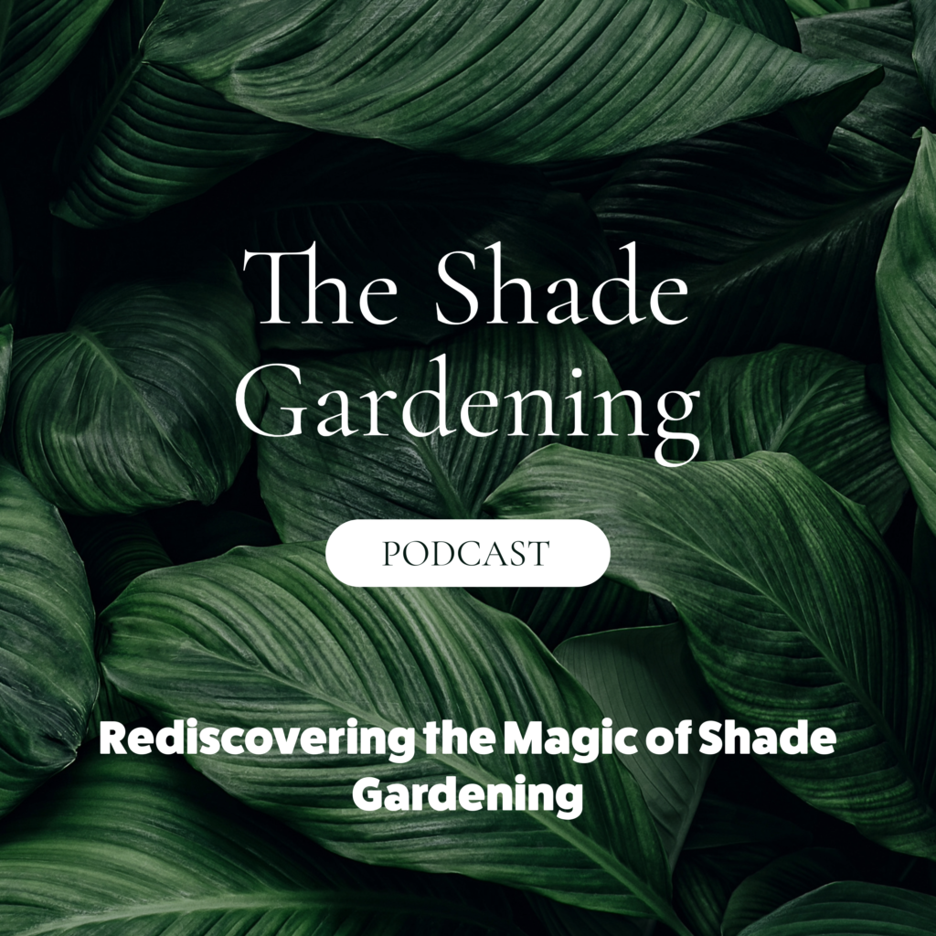 EP11 of The Shade Gardening Podcast