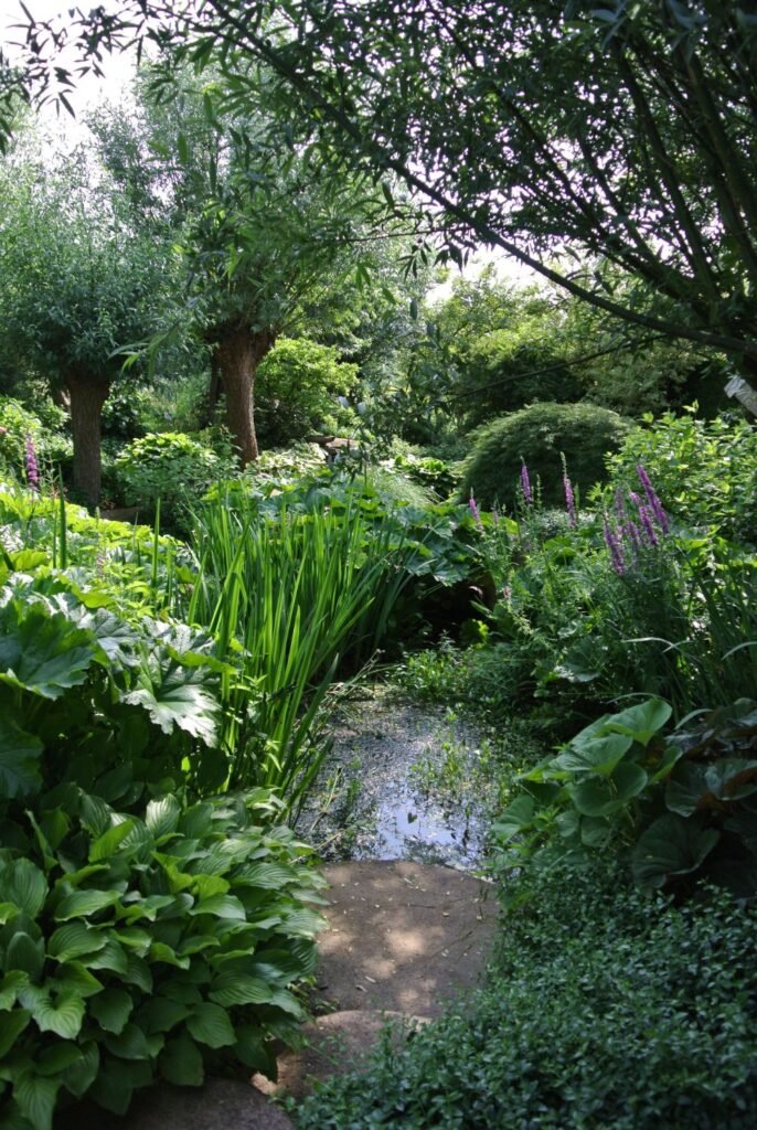 Lush shade garden with steam