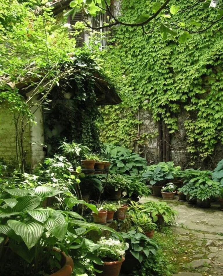 Shade garden courtyard