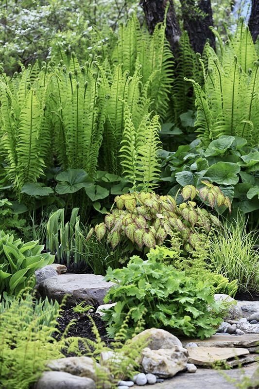 How to Plant in Dry