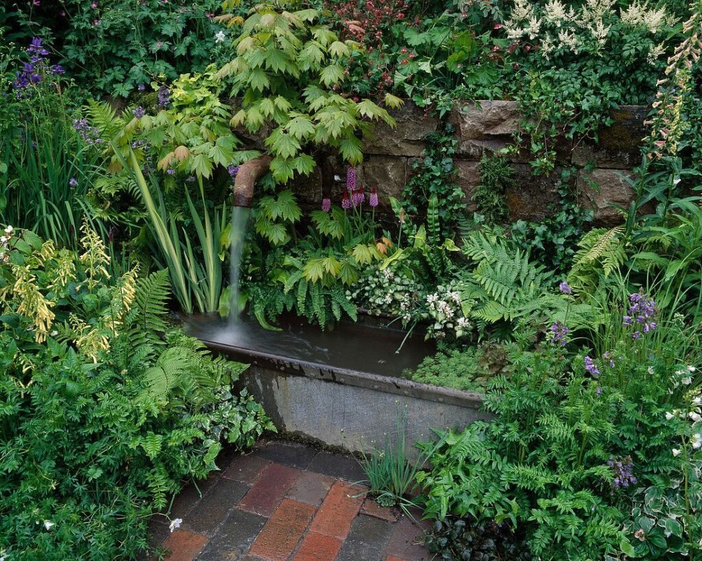 Garden pond in shade