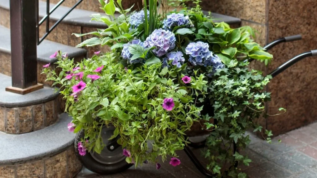 Container shade gardening