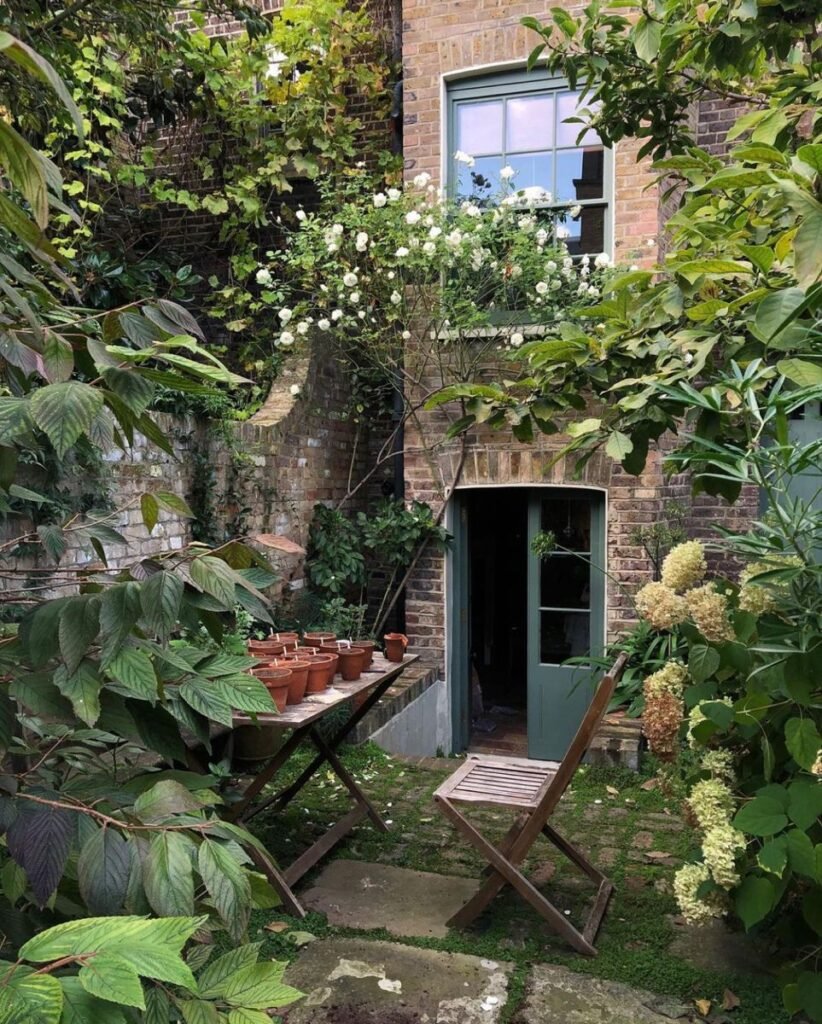 beautiful yard shade garden