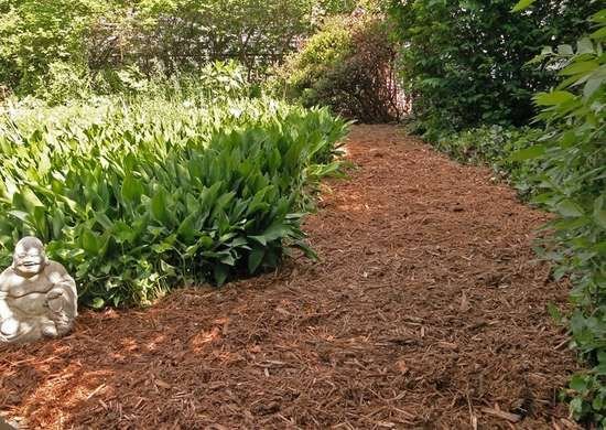 mulch path