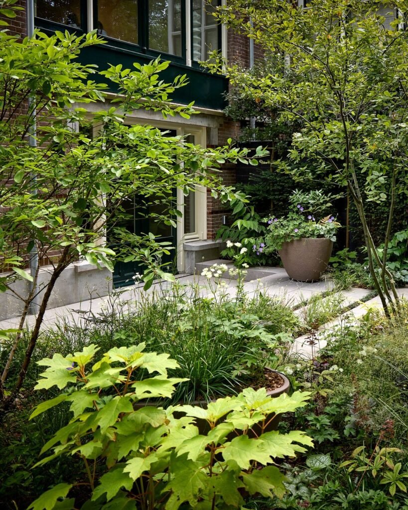 a dappled shade garden